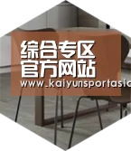 开云官网以专业化产品制胜