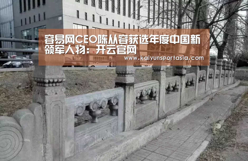 容易网CEO陈从容获选年度中国新领军人物:开云官网(图3) 开云官网